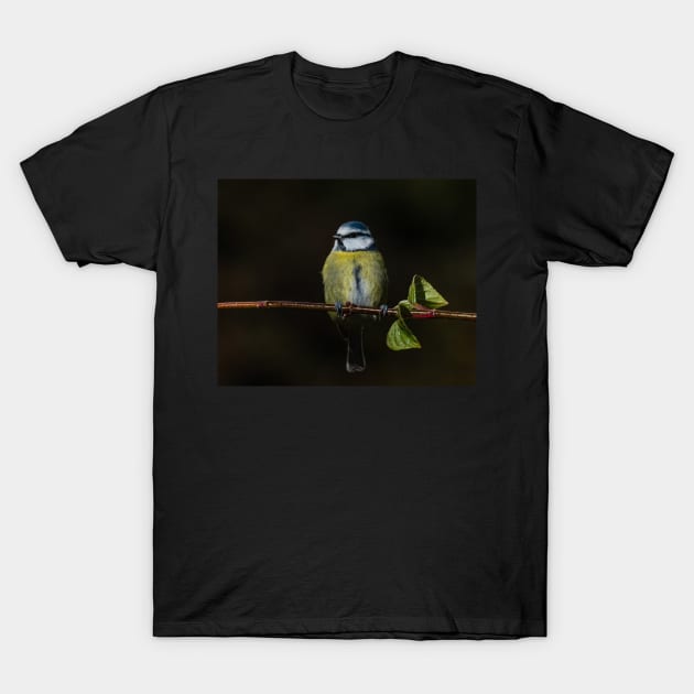 Blue Tit T-Shirt by jldunbar